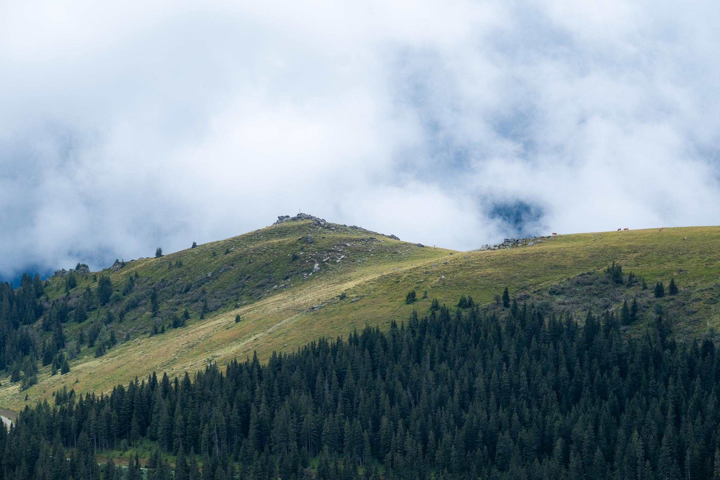 Ein kleiner Berggipfel mit Almwiese davor und unterhalb Bäumen. Der Himmel ist bewölkt.