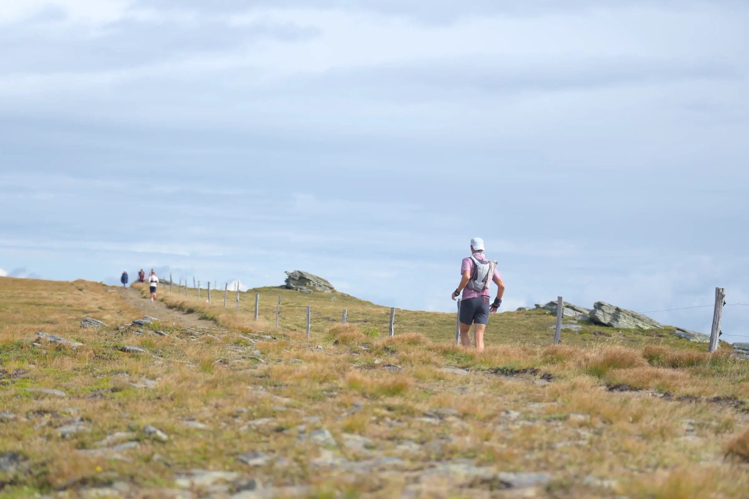 Almwiese mit einem Trail-Läufer von hinten im Fokus, weiter vorne laufen weitere Läufer. Sie befinden sich auf einem Wanderweg, der rechts von einem Weidezaun begrenzt wird.