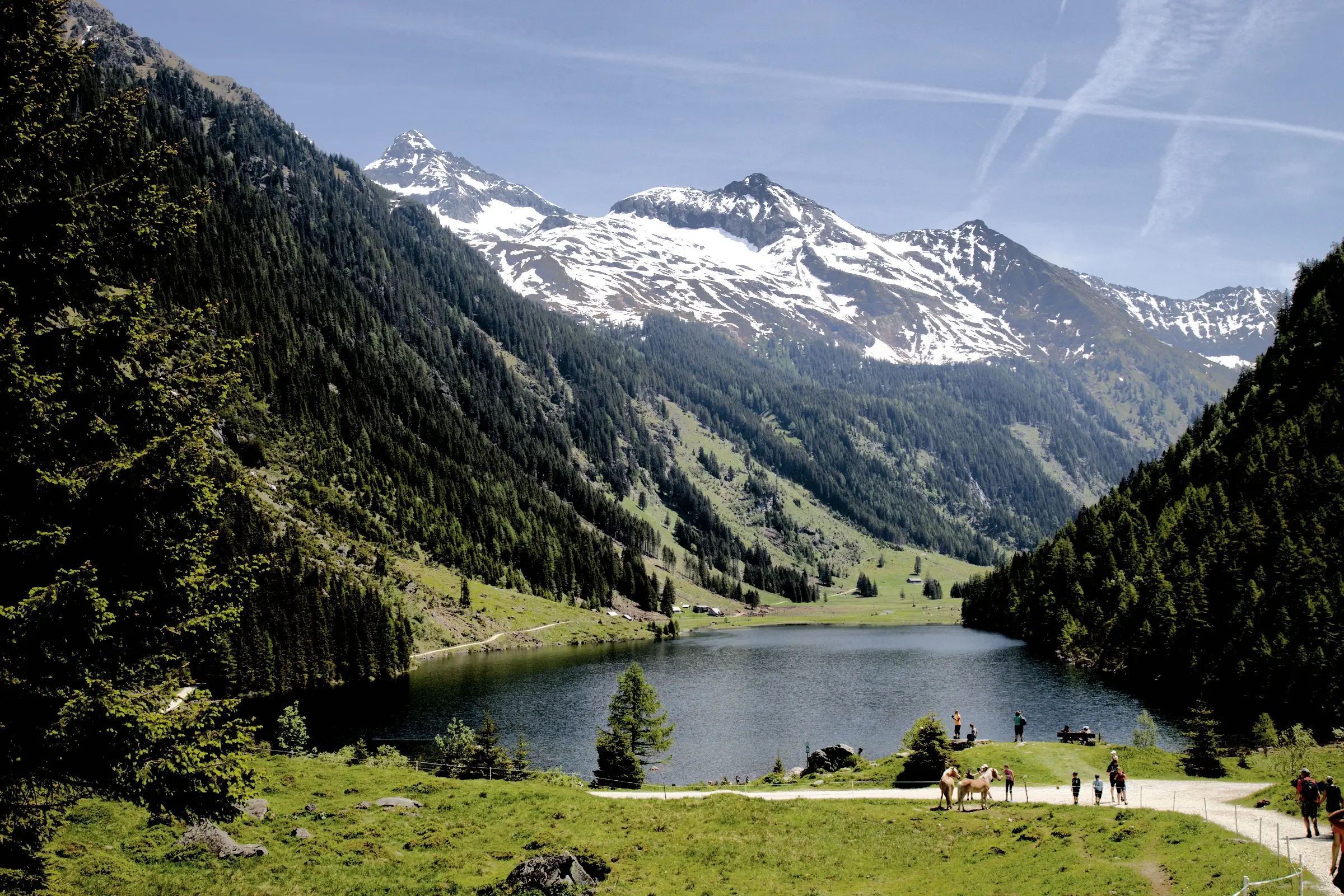 Deutsch:
Das Bild zeigt eine idyllische Berglandschaft. Im Zentrum liegt ein ruhiger See, umgeben von dichten grünen Wäldern. Im Hintergrund ragen schneebedeckte Berge unter einem klaren blauen Himmel auf. Die Farben sind lebhaft: satte Grüntöne der Bäume, das tiefe Blau des Sees und das Weiß der Schneegipfel. Die Komposition ist ausgewogen – der See in der Mitte, Wälder zu beiden Seiten und die Berge als majestätische Kulisse. Die Stimmung ist friedlich und ruhig, verstärkt durch das natürliche Licht eines sonnigen Tages. Am Ufer sind einige Menschen und Pferde zu sehen, die der ansonsten stillen Szene Leben verleihen.
English:
The image shows an idyllic mountain landscape. At its center lies a calm lake surrounded by dense green forests. In the background, snow-capped mountains rise under a clear blue sky. The colors are vibrant: lush greens of the trees, the deep blue of the lake, and the white of the snowy peaks. The composition is balanced – the lake in the middle, forests on eith